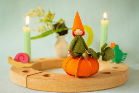 Pakket Pompoensteker 