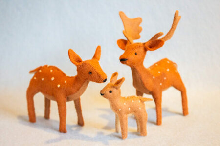 Pakket Hertenfamilie