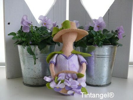 Pakket Zomerdroom viooltje