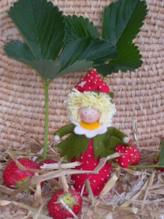 Tafelpopje aardbei.