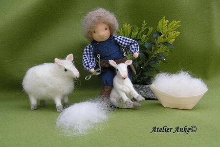 Pakket De schaapscheerder.