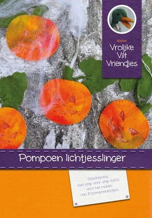 Pakket Pompoen lichtjesslinger inclusief ledlichtjes