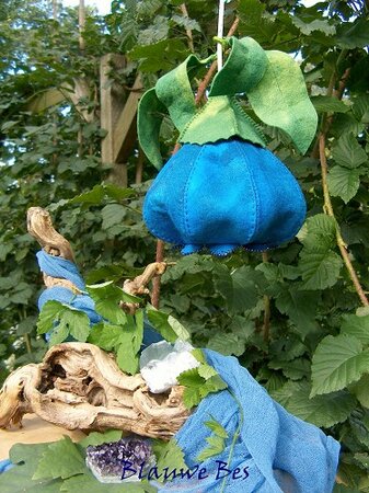 Pakket Seizoenlampje Blauwe bes
