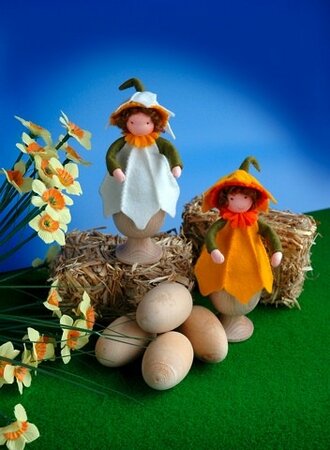 Pakket Eierwarmer Narciszusjes