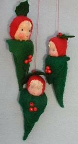 Pakket Drie hulstbaby's