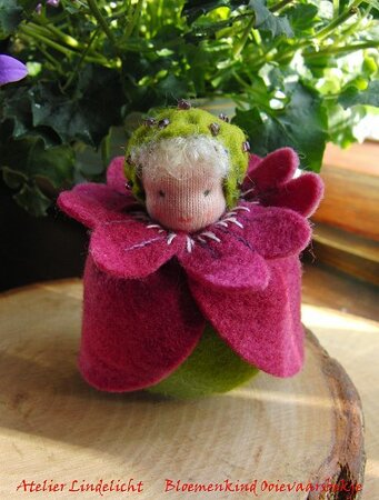 Pakket Bloemenkindje Ooievaarsbek