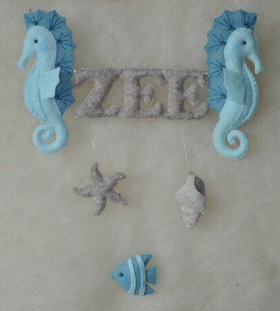 Pakket In de zee