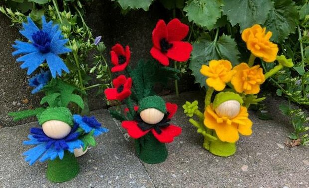 Pakket Boterbloem