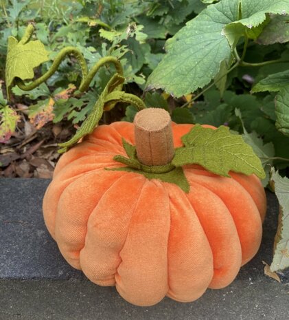 Materiaal pakket de pompoen fabriek
