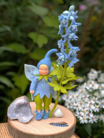 Pakket Ridderspoor elfje