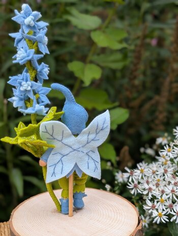 Pakket Ridderspoor elfje