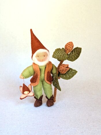 Pakket Beukennootkabouter