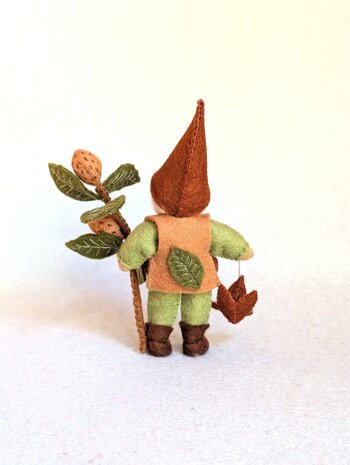 Pakket Beukennootkabouter