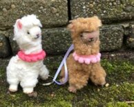 Pakket Sleutelhanger Alpaca wit