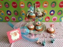 Pakket Beschuitjes mini geboorte