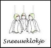 Pakket voor het maken van 1 sneeuwklokje