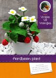 Pakket Aardbeienplant