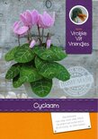 Pakket Cyclaam