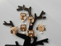Pakket 6 Uiltjes in bruintinten