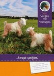 Pakket Jonge geitjes