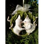 Pakket kussen onder de mistletoe