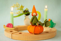 Pakket Pompoensteker 