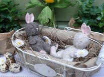 Pakket Slapende konijntjes