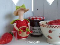 Pakket Zomerdroom aardbei