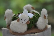 Pakket Schattige schaapjes