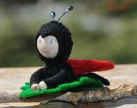 Pakket Drie lieveheersbeestjes