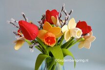 Patroonblad Lente boeket