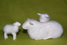 Spelen met mama-schaap.