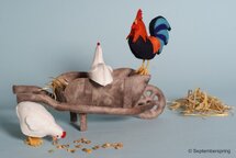 Patroonblad Boer wat zeg je van mijn kippen