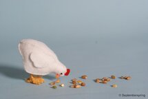 Patroonblad Boer wat zeg je van mijn kippen
