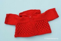 Patroonblad ajour vestje