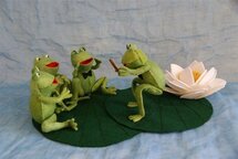 Patroonblad Kikkerconcert.