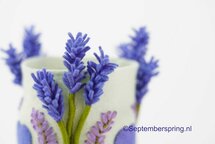 Patroonblad Lavendellichtje