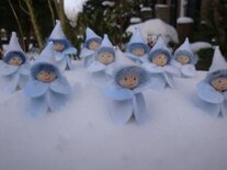 Wintermompelmannetje.