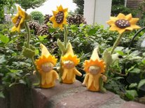 Zonnebloem kabouters.