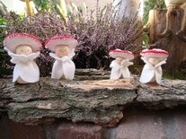 Paddestoel mompelmannetje.