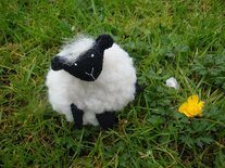 Centimeter schaapje.