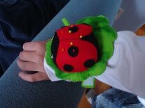 Speldenkussen Koekendiefie