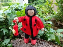 Koekendiefie mannetje