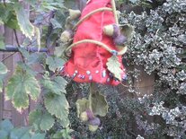 Seizoen lampje kaboutermuts