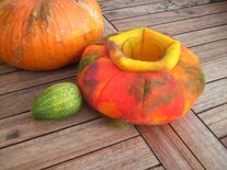 Waxinelichtje turksemuts