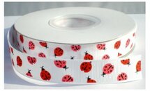 Lint met koekendiefie 16mm