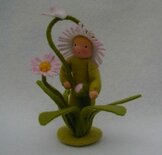 Pakket Bloemenkind Madelief