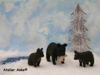 Pakket De bruine beer