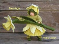 Pakket Narcisje