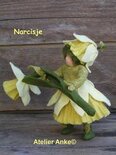 Pakket Narcisje